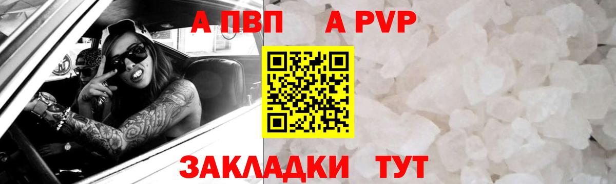 Alfa_PVP СК КРИС Будённовск