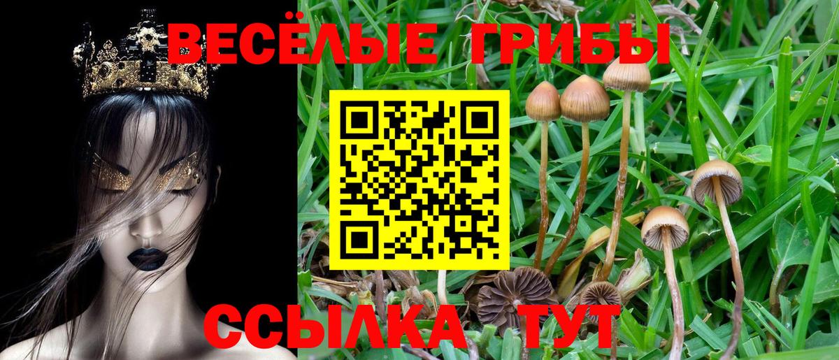 Будённовск  Псилоцибиновые грибы Magic Shrooms  Вход с VPN  Галлюциногенные грибы ЛСД 